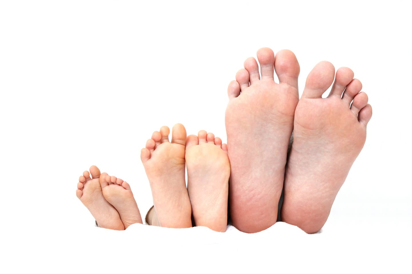 円グラフとサイエンス美容